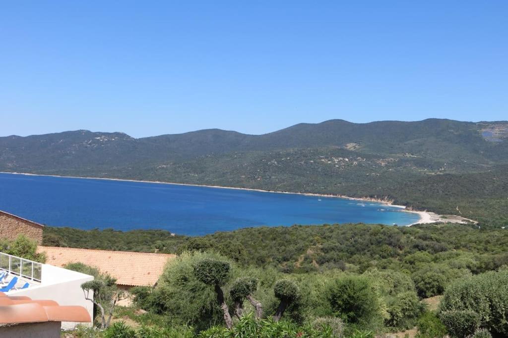 Chez Adrien 108-Appartement Magnifique Vue Mer Piscine Chauffee Serra-di-Ferro  Exteriér fotografie