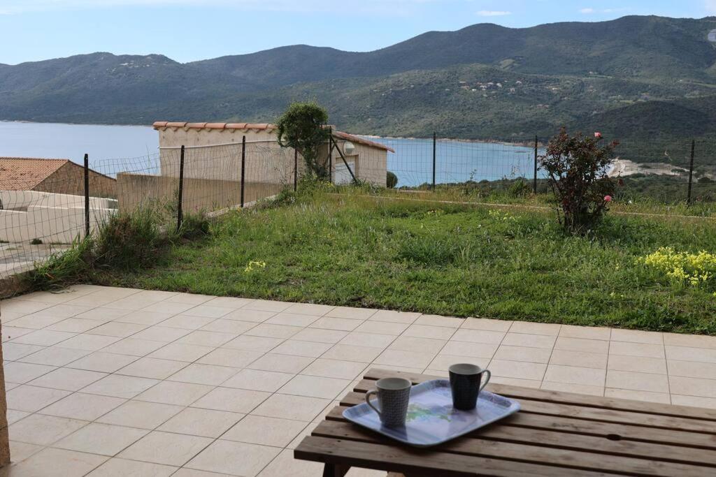 Chez Adrien 108-Appartement Magnifique Vue Mer Piscine Chauffee Serra-di-Ferro  Exteriér fotografie