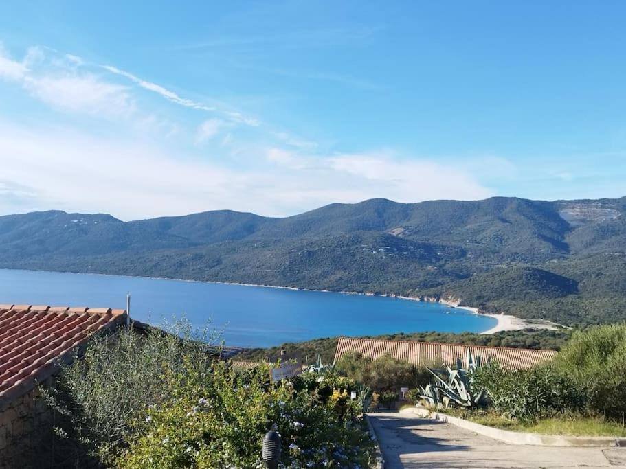 Chez Adrien 108-Appartement Magnifique Vue Mer Piscine Chauffee Serra-di-Ferro  Exteriér fotografie