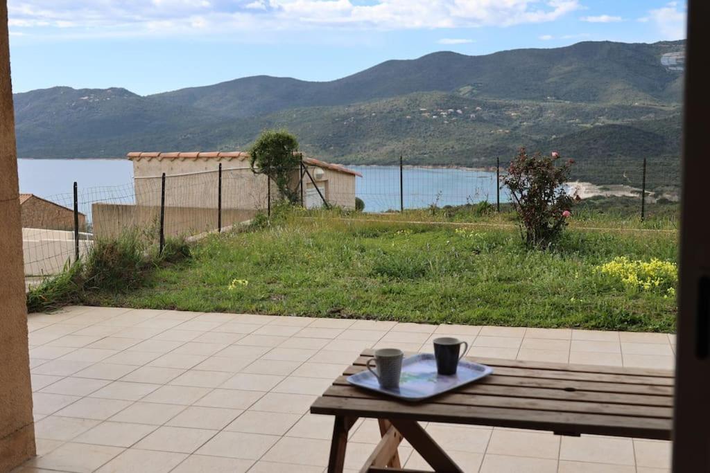 Chez Adrien 108-Appartement Magnifique Vue Mer Piscine Chauffee Serra-di-Ferro  Exteriér fotografie